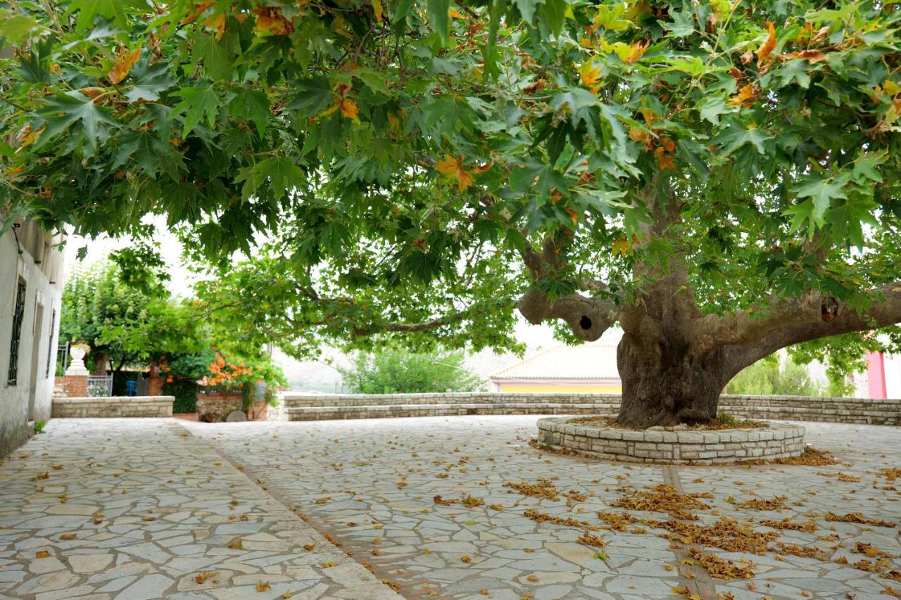 סרנדה Guesthouse Panorama Nivice מראה חיצוני תמונה